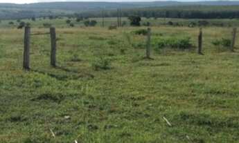 Imagem 6: FAZENDA DE 42 ALQUEIRES 20 KM DE COLNIZA MATO GROSSO