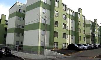 Imagem 5: SãO LEOPOLDO - Padrão - Pinheiro