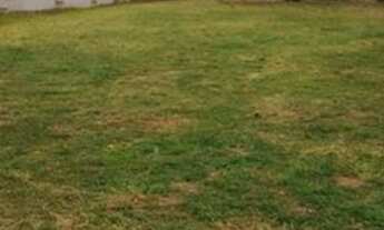 Imagem 3: Terreno Barra Bonita