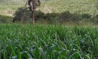 Imagem 5: Fazenda Iramaia Ba. 5 mil hectares chapada