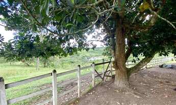 Imagem 6: Fazenda com 42 Hectares em Sairé-PE