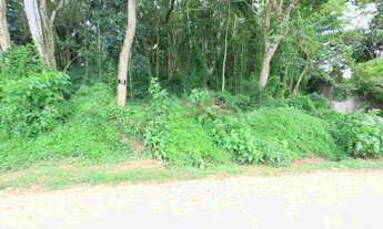 Imagem 6: Lotes exclusivos no Cônego - Lote 14