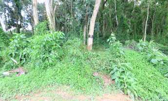 Imagem 5: Lotes exclusivos no Cônego - Lote 14