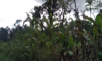 Imagem 4: ITANHAÉM - Terreno Padrão - JARDIM AGUAPEÚ