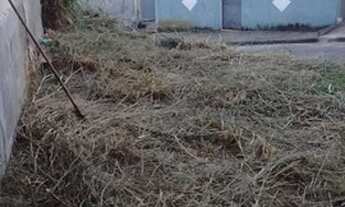 Imagem 6: Terreno 100m2 Jardim Palmares