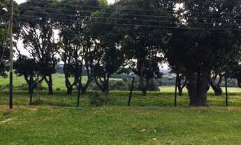 Imagem: Sitio em cassia dos coqueiros 12 alqueires