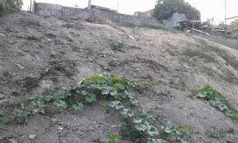 Imagem: Chácara de frente pra rua mil metros quadrados