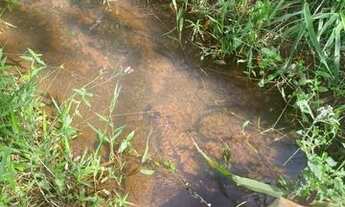 Imagem 4: CHÁCARA COM REGO D?ÁGUA