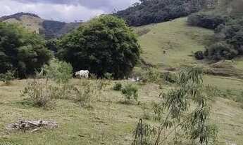 Imagem 4: Terrenos contendo 2,36 hectares em Marmelópolis- Sul de Minas Gerais