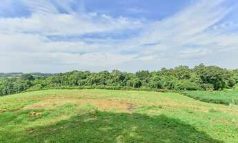 Imagem 5: Vendas Área Curitiba PR