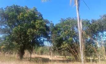 Imagem 2: Chácara Chácara com venda com preço sob consulta