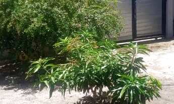 Imagem 5: Casa sítio histórico Igarassu