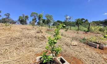 Imagem 2: CHÁCARA IGARAPÉ VARGINHA 1.210MTS
