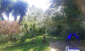 Imagem 2: Vendo Sítio de Negócios - Barra do Jucú