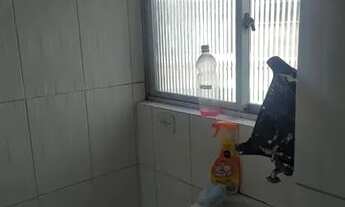 Imagem: Ótimo apartamento no boqueirão