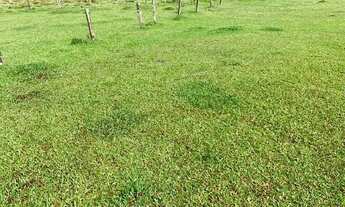 Imagem 3: Lf- Terreno com metragem de 600 metros