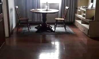 Imagem 3: Cobertura com 3 dormitórios à venda em Belo Horizonte