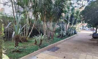 Imagem 4: Apartamento 3 dormitórios no Jardim Europa