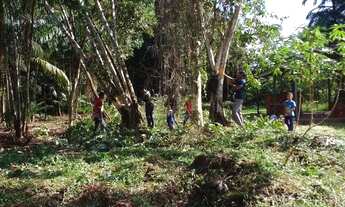 Imagem: Terreno próximo a alça viária km 40