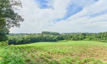 Imagem 6: Vendas Área Curitiba PR