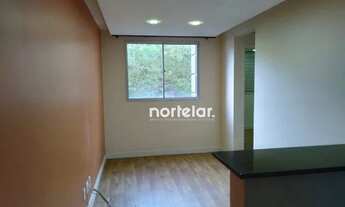 Imagem 5: Excelente Apartamento!!! 41m² - Jaraguá!!!.