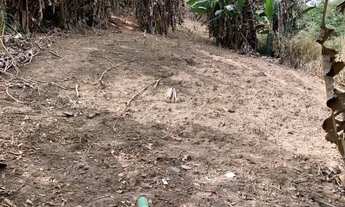 Imagem 5: LOTE 782 M2 Jd. Casa Branca