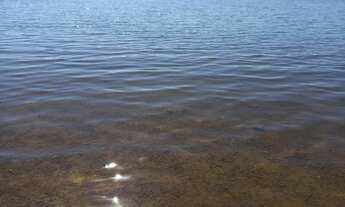 Imagem 6: Vendo ou Troco Chácara