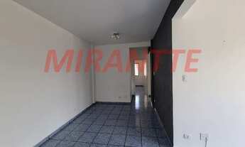 Imagem 3: Apartamento Vila Nova Cachoeirinha com 80 metros útil e 3 quartos