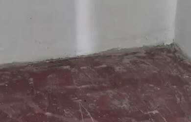 Imagem 5: ALUGA-SE ESSA CASINHA