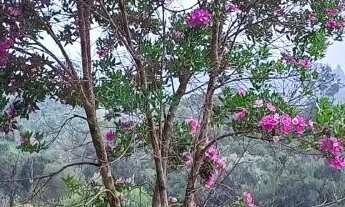 Imagem 7: Casa de campo em Rancho Queimado