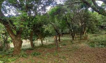 Imagem: Lindo Sítio 5,5Hec, 55.000m2, Sede 3 Suítes