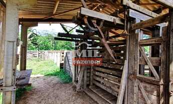 Imagem 2: Fazenda 269 alqueires ( 1, 304 hectares) Mineiros - GO