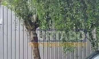 Imagem 2: Terreno à venda, 300 m² - Vila Gilda - Santo André/SP