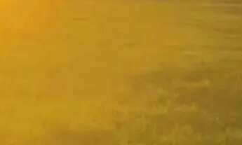 Imagem 4: Seu lote de 2000m² com lago por R$ 100 mil elegância acessível