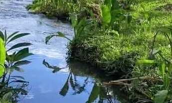 Imagem 7: Chácara em taquara