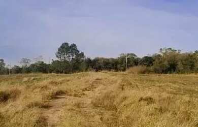 Imagem 6: FUJA DO CAUS DA CIDADE , VENHA MORAR NO CAMPO , TERRENO A VENDA