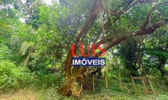 Imagem 5: Magnífico TERRENO DE POSSE à venda, 22500 m² por R$ 5.000.000 - Itaipu - Niterói/RJ - TE11