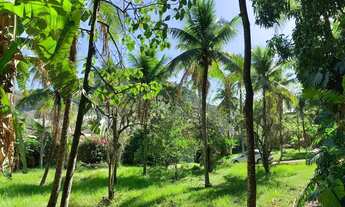 Imagem 3: Lindo Sítio com 8000m² e casa com 340m² em região de condomínios na Taquara - RJ