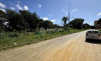 Imagem 3: Terreno com 456m² bairro canelas