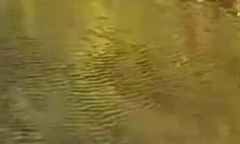 Imagem: Fazendinha Com Água de rio Em Abundância