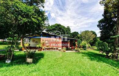 Imagem: Fazenda 269 alqueires ( 1, 304 hectares)