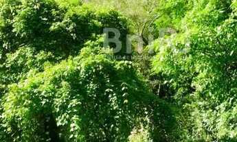 Imagem 4: VISTA LINDA!! CERCADA DE VERDE!