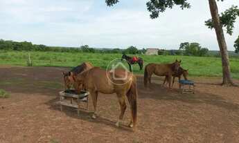Imagem 7: PROPRIEDADE PRODUZINDO - 70 KM DE CUIABÁ