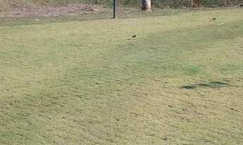 Imagem 8: Condomínio Maria Julia - Terreno para venda no Condomínio Residencial Maria Julia - São Jo