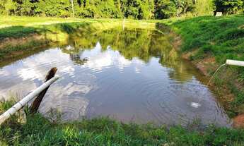 Imagem 7: FAZENDA 7 ALQUEIRES ALEXÂNIA- GO