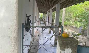 Imagem 7: Fazenda em Marechal Deodoro