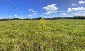 Imagem 4: Imóvel para venda com 101000 metros quadrados em Águas Claras - Viamão - RS