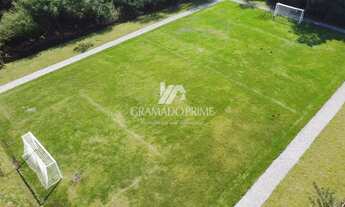 Imagem 7: TERRENO NO CONDOMÍNIO PINHEIRO GROSSO EM CANELA!