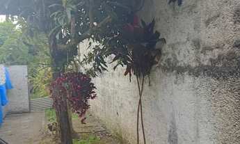 Imagem 2: Vende se terreno. Comtendo 2 casas sendo 1 de material e a 2 de madeira ótimo lugar