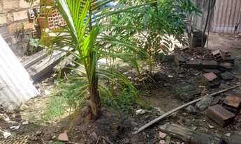 Imagem 2: Vendo só avista conjunto Tauari